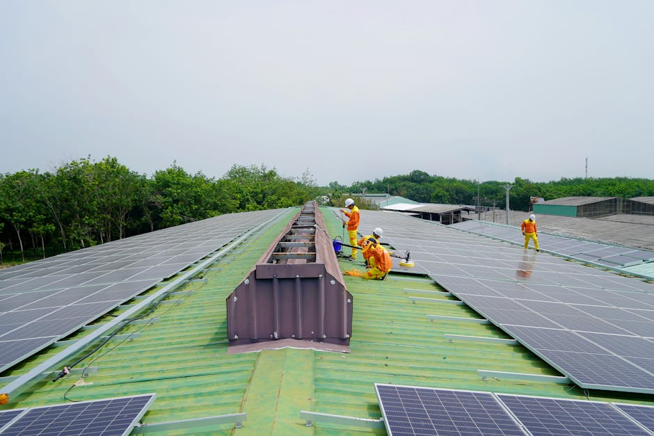 Elevated solar canopy structure on a flat urban roof